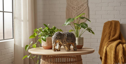 Best Vaastu & Home Decor Stores Online for Unique Items